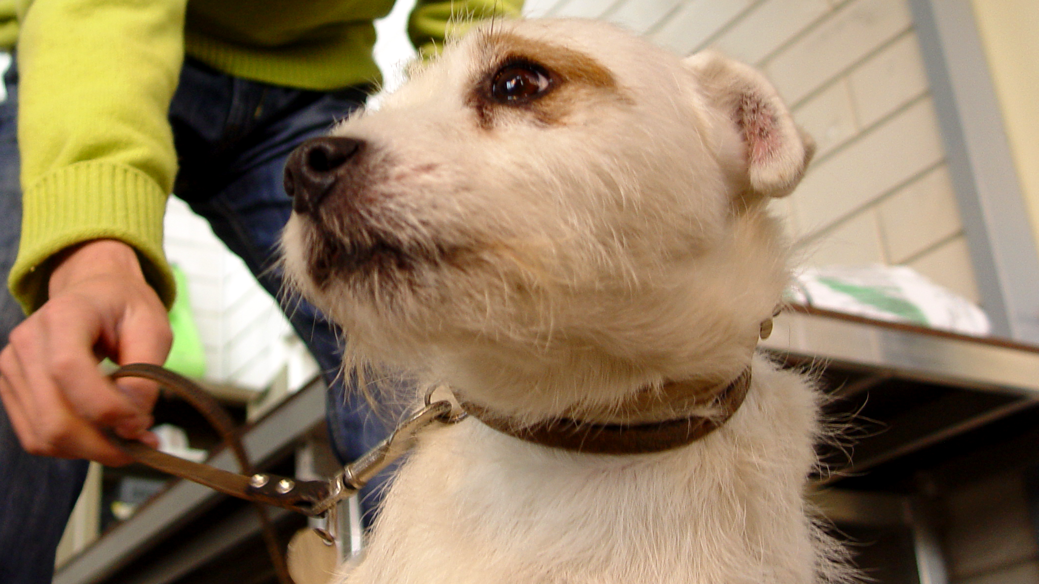 Animal Care Competition 2026 in Nederland